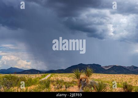 Saison de la mousson dans le sud de l'Arizona Banque D'Images