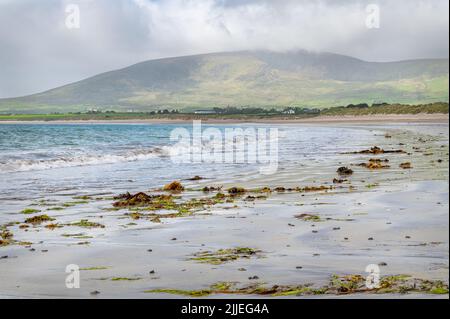 Ventry Bay Beach dans le comté de Kerry, Irlande Banque D'Images