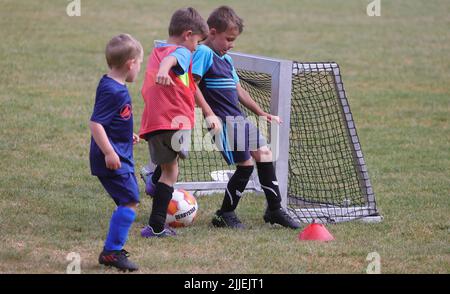 Dulmen, Allemagne. 21st juin, 2022. Firo: 06/22/2022, football, saison 2021/2022, mini kicker de football amateur, U6 jouer dans une équipe de trois contre l'un l'autre, forme d'entraînement crédit: dpa/Alay Live News Banque D'Images