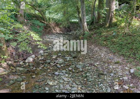 Changement climatique, lit d'un petit ruisseau de source déjà séché en mai, Allemagne, Bavière, Isental Banque D'Images