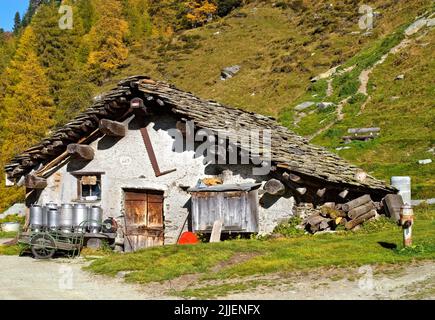 Grange de chèvre dans le village suisse traditionnel Isola au lac Sils, Suisse, Grisons, Engadine, Sils-Maria Banque D'Images