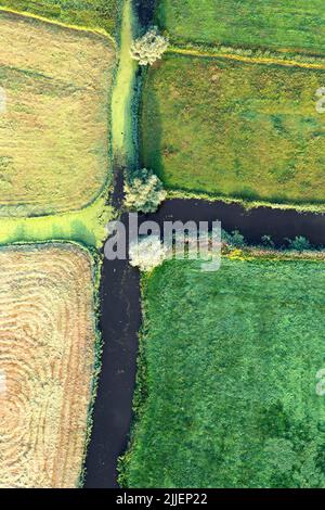 Prés et canaux de marais, vue aérienne, Belgique, Flandre Banque D'Images