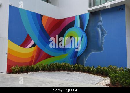 La dynamique fresque d'art de rue publique a été créée pour le festival de peinture murale SHINE 2018 par l'artiste Cecilia Lueza à Saint-Pétersbourg, Floride, Etats-Unis. Banque D'Images