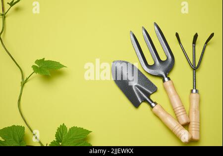 Outils de jardin pour le traitement des lits dans le jardin sur fond vert. Vue de dessus Banque D'Images