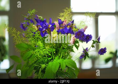 Bouquet violet coloré dans un vase pour éclairer une maison. Fleurs fraîches d'iris sibérien en fleurs et en fleurs avec du feuillage vert. Une bande de couleurs vibrantes Banque D'Images