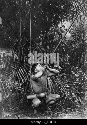 Un homme de Dayak de Bornoe teste un nouveau tube de Dart de poison; image publié en 1929. Banque D'Images