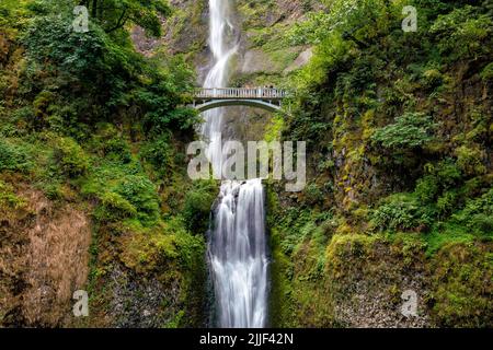 Chutes Multnomah dans la gorge du fleuve Columbia près de Portland Oregon. Banque D'Images