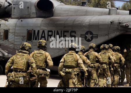 220720-M-RA094-1080 ZONE D'ENTRAÎNEMENT DU CORPS MARIN SOUFFLETS, Hawaï (20 juillet 2022) des soldats de l'armée australienne se font monter sur un super étalon CH-53E affecté à l'Escadron d'hélicoptères lourds marins 462, Force opérationnelle aérienne terrestre marine 7, lors d'exercices en charge et en charge à l'appui de la Rim du Pacifique (RIMPAC) 2022, 20 juillet. Vingt-six nations, 38 navires, trois sous-marins, plus de 170 avions et 25 000 membres du personnel participent au RIMPAC 2022 de 29 juin à août 4 dans les îles hawaïennes et dans le sud de la Californie. Le plus grand exercice maritime international au monde, RIMPAC 2022, offre un tr unique Banque D'Images