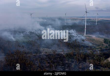 Falkenberg, Allemagne. 26th juillet 2022. Des nuages de fumée se délellent au-dessus d'une zone forestière au cours d'un incendie de forêt entre des éoliennes en début de matinée. Les pompiers de Brandebourg continuent de lutter contre un grand incendie de forêt dans le district d'Elbe-Elster. Depuis lundi (25,07), il brûle sur une superficie d'environ 800 hectares. Les premiers résidents ont dû quitter leur maison. (Vue aérienne avec drone) Credit: Jan Woitas/dpa/Alamy Live News Banque D'Images