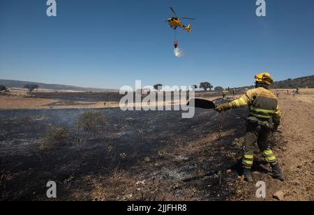 Espagne - Ávila - Mironcillo - vague de feux en Espagne - en raison des températures élevées et d'une vague de chaleur historique, beaucoup de feux de forêt ont frappé la péninsule ibérique. Les brigades et les pompiers tentent héroïquement de faire face aux flammes qui deviennent de plus en plus insolubles et difficiles à éteindre. Banque D'Images