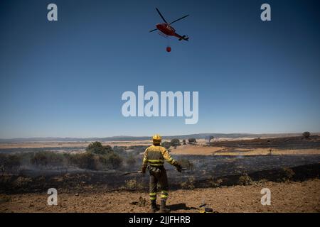 Espagne - Ávila - Mironcillo - vague de feux en Espagne - en raison des températures élevées et d'une vague de chaleur historique, beaucoup de feux de forêt ont frappé la péninsule ibérique. Les brigades et les pompiers tentent héroïquement de faire face aux flammes qui deviennent de plus en plus insolubles et difficiles à éteindre. Banque D'Images