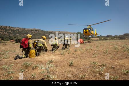 Espagne - Ávila - Mironcillo - vague de feux en Espagne - en raison des températures élevées et d'une vague de chaleur historique, beaucoup de feux de forêt ont frappé la péninsule ibérique. Les brigades et les pompiers tentent héroïquement de faire face aux flammes qui deviennent de plus en plus insolubles et difficiles à éteindre. Banque D'Images