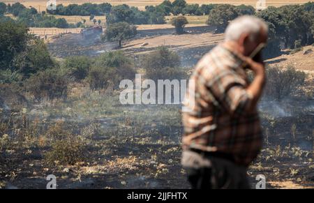 Espagne - Ávila - Mironcillo - vague de feux en Espagne - en raison des températures élevées et d'une vague de chaleur historique, beaucoup de feux de forêt ont frappé la péninsule ibérique. Les brigades et les pompiers tentent héroïquement de faire face aux flammes qui deviennent de plus en plus insolubles et difficiles à éteindre. Banque D'Images