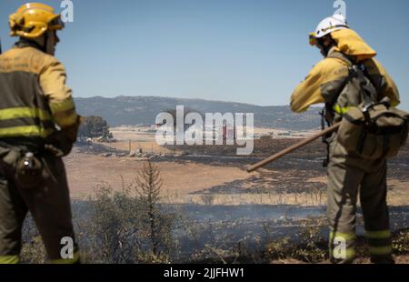 Espagne - Ávila - Mironcillo - vague de feux en Espagne - en raison des températures élevées et d'une vague de chaleur historique, beaucoup de feux de forêt ont frappé la péninsule ibérique. Les brigades et les pompiers tentent héroïquement de faire face aux flammes qui deviennent de plus en plus insolubles et difficiles à éteindre. Banque D'Images