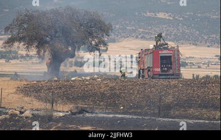 Espagne - Ávila - Mironcillo - vague de feux en Espagne - en raison des températures élevées et d'une vague de chaleur historique, beaucoup de feux de forêt ont frappé la péninsule ibérique. Les brigades et les pompiers tentent héroïquement de faire face aux flammes qui deviennent de plus en plus insolubles et difficiles à éteindre. Banque D'Images