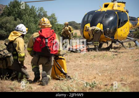 Espagne - Ávila - Mironcillo - vague de feux en Espagne - en raison des températures élevées et d'une vague de chaleur historique, beaucoup de feux de forêt ont frappé la péninsule ibérique. Les brigades et les pompiers tentent héroïquement de faire face aux flammes qui deviennent de plus en plus insolubles et difficiles à éteindre. Banque D'Images