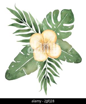 Aquarelle fleurs tropicales dessinées à la main bouquet clipart. Illustration de feuilles de palmier vertes, de monstères et de fleurs jaunes exotiques. Monstera feuilles et palmier lea Banque D'Images