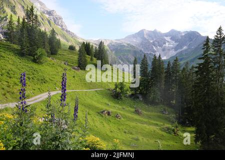 Magnifique paysage alpin à Tannberg près de Schröcken en Autriche. Juillet 2022. Banque D'Images