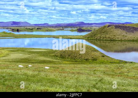 Paysage rural du lac Myvatn sur l'Islande Banque D'Images