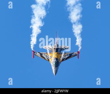Armée de l'air belge 31 Escadron du tigre F-16 Banque D'Images