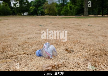 Hyde Park, Londres, Royaume-Uni. 26th juillet 2022. Météo au Royaume-Uni : alerte à la sécheresse. Le Royaume-Uni se dirige vers une possible sécheresse en août. Herbe sèche dans Hyde Park. Crédit : Matthew Chattle/Alay Live News Banque D'Images