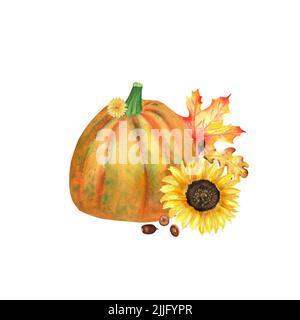 Une composition de jardin d'automne. Un ensemble d'illustrations aquarelles sur le thème de la récolte d'automne. Citrouille colorée, tournesol, chêne et feuilles d'érable Banque D'Images