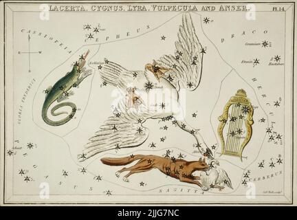 Illustration astronomique de Lacerta, Cygnus, Lyra, Vulpecula et l'Anser, 1831, Sidney Hall Banque D'Images