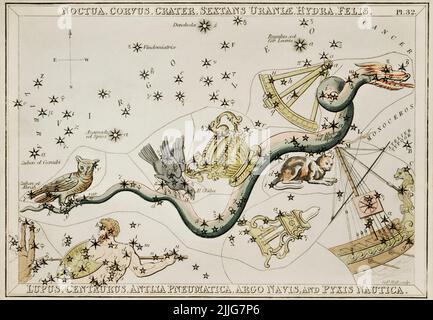 Illustration astronomique de Noctua, Corvus, Crater, Sextans Uraniae, Hydra, Felis, Lupus, Centaurus, Antlia Pneumatica, Argo Navis, Et le Pyx Banque D'Images