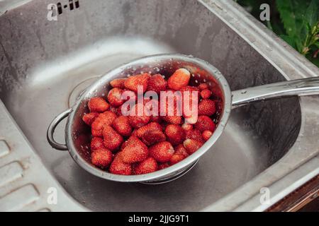 Les fraises brillantes fraîchement cueillies sont lavées dans une passoire en métal dans un ancien évier. Banque D'Images