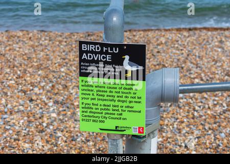 Herne Bay, Kent, Royaume-Uni : nouveaux panneaux d'avis sur la grippe aviaire à la suite de 104 cas confirmés d'influenza aviaire (H5N1) au Royaume-Uni. Banque D'Images