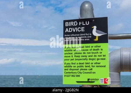 Herne Bay, Kent, Royaume-Uni : nouveaux panneaux d'avis sur la grippe aviaire à la suite de 104 cas confirmés d'influenza aviaire (H5N1) au Royaume-Uni. Banque D'Images