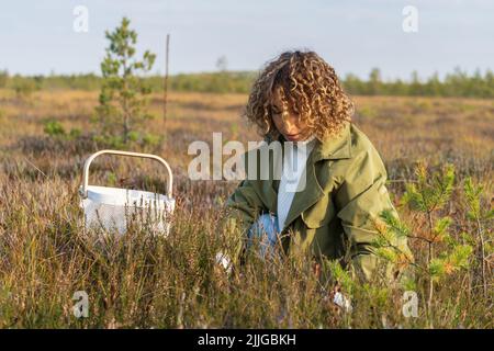 Jeune femme dans la tranchée à la mode cueillant des baies sur les marais d'automne tenant le panier blanc avec des canneberges Banque D'Images