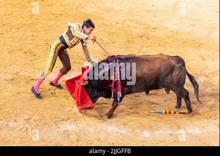 Le combattant Angel Tellez a poussé une épée pour tuer le taureau dans la dernière partie du combat Banque D'Images