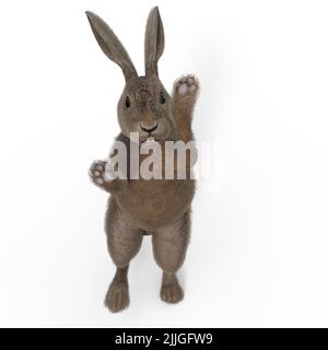 3d-illustration d'un animal de compagnie isolé de lapin debout Banque D'Images