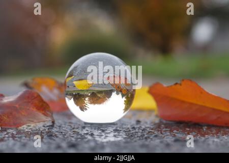 scène d'automne reflétée dans une boule de cristal avec des avant--toits sur le trottoir Banque D'Images