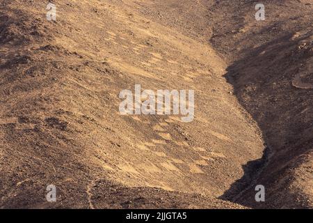 Les géoglyphes de Cerros Pintados ont été réalisés entre 700 et 1500 A.D dans le désert d'Atacama, au nord du Chili. Ils représentent des figures stylisées de personnes, ani Banque D'Images