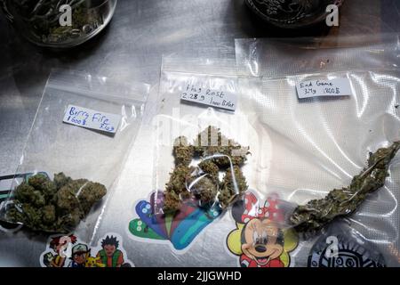 27 juillet 2022, Bangkok, Thaïlande: De petits sacs de 1 grammes préemballés de différentes fleurs de cannabis sont en vente chez Fat Bud, un petit dispensaire de Bangkok axé sur l'achat et la vente de cannabis cultivé par des agriculteurs locaux en Thaïlande. Depuis que le Gouvernement thaïlandais a décriminalisé la vente et la possession de marijuana sur 9 juin 2022, des fleurs de cannabis sèches ont commencé à être vendues dans les dispensaires et dans la rue dans tout Bangkok. Un boom soudain de l'industrie de la marijuana, associé à sa légalisation rapide, se produit sans un cadre fort pour la réglementation législative, ce qui entraîne une e incertaine Banque D'Images