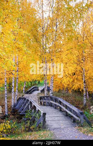 Pont en bois en paysage d'automne Banque D'Images