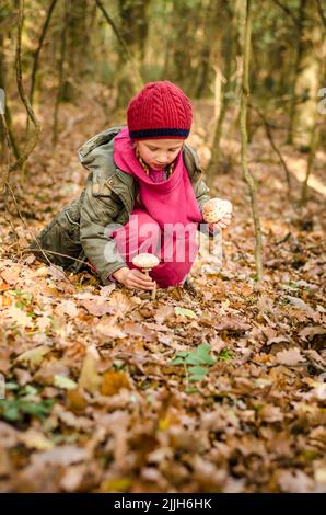 adorable jeune fille souriante en calotte rouge cueillant des champignons dans la forêt automnale Banque D'Images