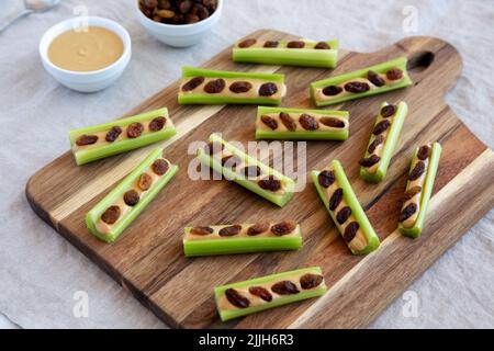 Fourmis maison sur une bûche de céleri, beurre d'arachide et raisins secs sur une planche de bois, vue latérale. Banque D'Images