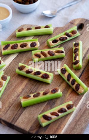 Fourmis maison sur une bûche de céleri, beurre d'arachide et raisins secs sur une planche de bois, vue latérale. Banque D'Images