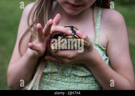 Tortue léopard. Enfant tenant une adorable tortue avec un coquillage à pois. Banque D'Images