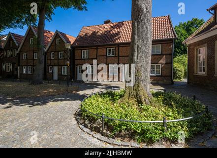 Allemagne, Billerbeck, Berkel, Baumberge, Muensterland, Westphalie, Rhénanie-du-Nord-Westphalie, NRW, maisons à la Johanniskirchplatz, bâtiments résidentiels, maisons de magasins, à colombages Banque D'Images