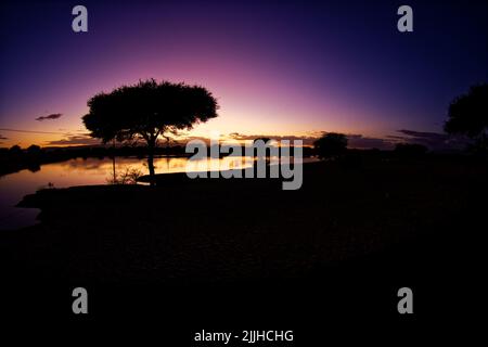 Magnifique coucher de soleil désert paysage de lac avec soleil rose jaune et orange en arrière-plan et noir premier plan avec silhouette d'un arbre. Réservoir i Banque D'Images