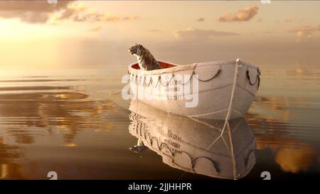 TIGER, LIFE OF PI, 2012 Banque D'Images