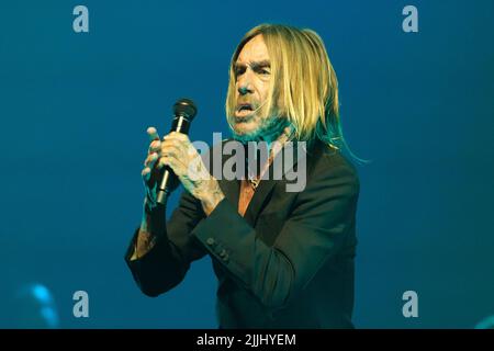 James Newell Osterberg Jr., mieux connu par son nom de scène Iggy Pop se produit dans un concert au Teatro Real de Madrid. C'est la première fois qu'Iggy Pop se produit au Teatro Real dans un concert où il passe en revue tous les plus grands succès de sa carrière. La représentation fait partie du 'Universal Music Festival'. Mondialement reconnu comme « l'Iguana » et comme l'artiste avec l'un des spectacles en direct les plus dynamiques et impressionnants de tous les temps, Iggy Pop a représenté le punk des années 70 et le grunge des années 90, créant une carrière musicale légendaire marquée par un claim critique et un culte fanatique f Banque D'Images