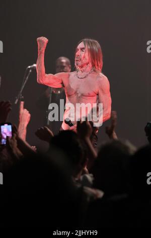 James Newell Osterberg Jr., mieux connu par son nom de scène Iggy Pop se produit dans un concert au Teatro Real de Madrid. C'est la première fois qu'Iggy Pop se produit au Teatro Real dans un concert où il passe en revue tous les plus grands succès de sa carrière. La représentation fait partie du 'Universal Music Festival'. Mondialement reconnu comme « l'Iguana » et comme l'artiste avec l'un des spectacles en direct les plus dynamiques et impressionnants de tous les temps, Iggy Pop a représenté le punk des années 70 et le grunge des années 90, créant une carrière musicale légendaire marquée par un claim critique et un culte fanatique f Banque D'Images