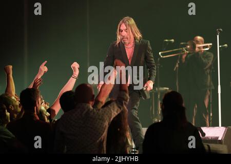 James Newell Osterberg Jr., mieux connu par son nom de scène Iggy Pop se produit dans un concert au Teatro Real de Madrid. C'est la première fois qu'Iggy Pop se produit au Teatro Real dans un concert où il passe en revue tous les plus grands succès de sa carrière. La représentation fait partie du 'Universal Music Festival'. Mondialement reconnu comme « l'Iguana » et comme l'artiste avec l'un des spectacles en direct les plus dynamiques et impressionnants de tous les temps, Iggy Pop a représenté le punk des années 70 et le grunge des années 90, créant une carrière musicale légendaire marquée par un claim critique et un culte fanatique f Banque D'Images