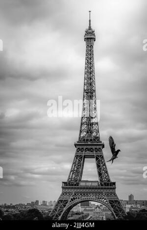 Tour Eiffel du Trocadéro avec pigeon volant, Paris, France, monochrome Banque D'Images