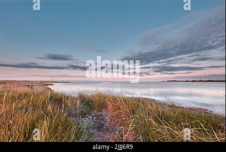 Plage et mer calmes. Vue magnifique, paisible et calme sur le bord d'un lac avec de l'herbe verte sur un fond ciel bleu nuageux. Paysage pittoresque d'un Banque D'Images